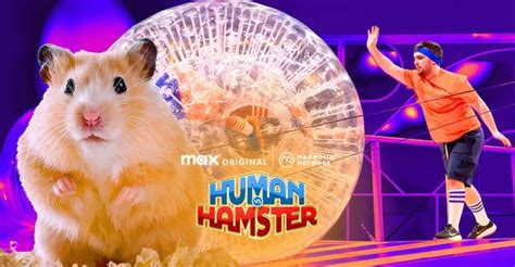 hamster xx|Human Vs. Hamster 